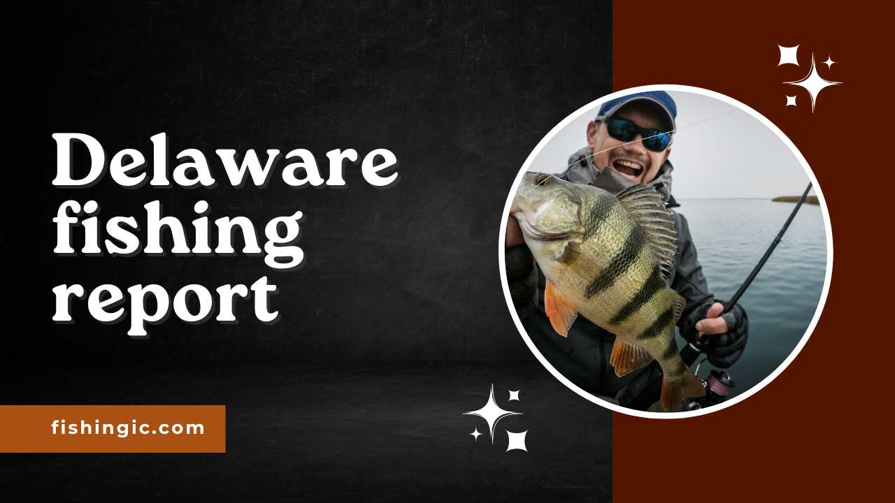 Delaware Fishing Report