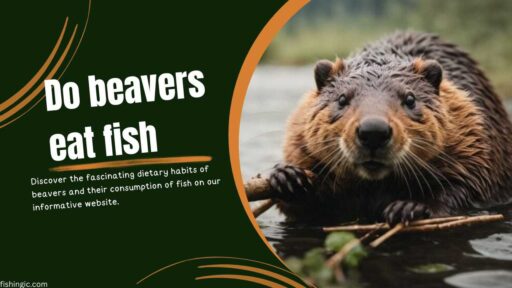 Do beavers eat fish?