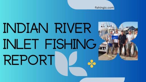 Indian River Inlet Fishing Report