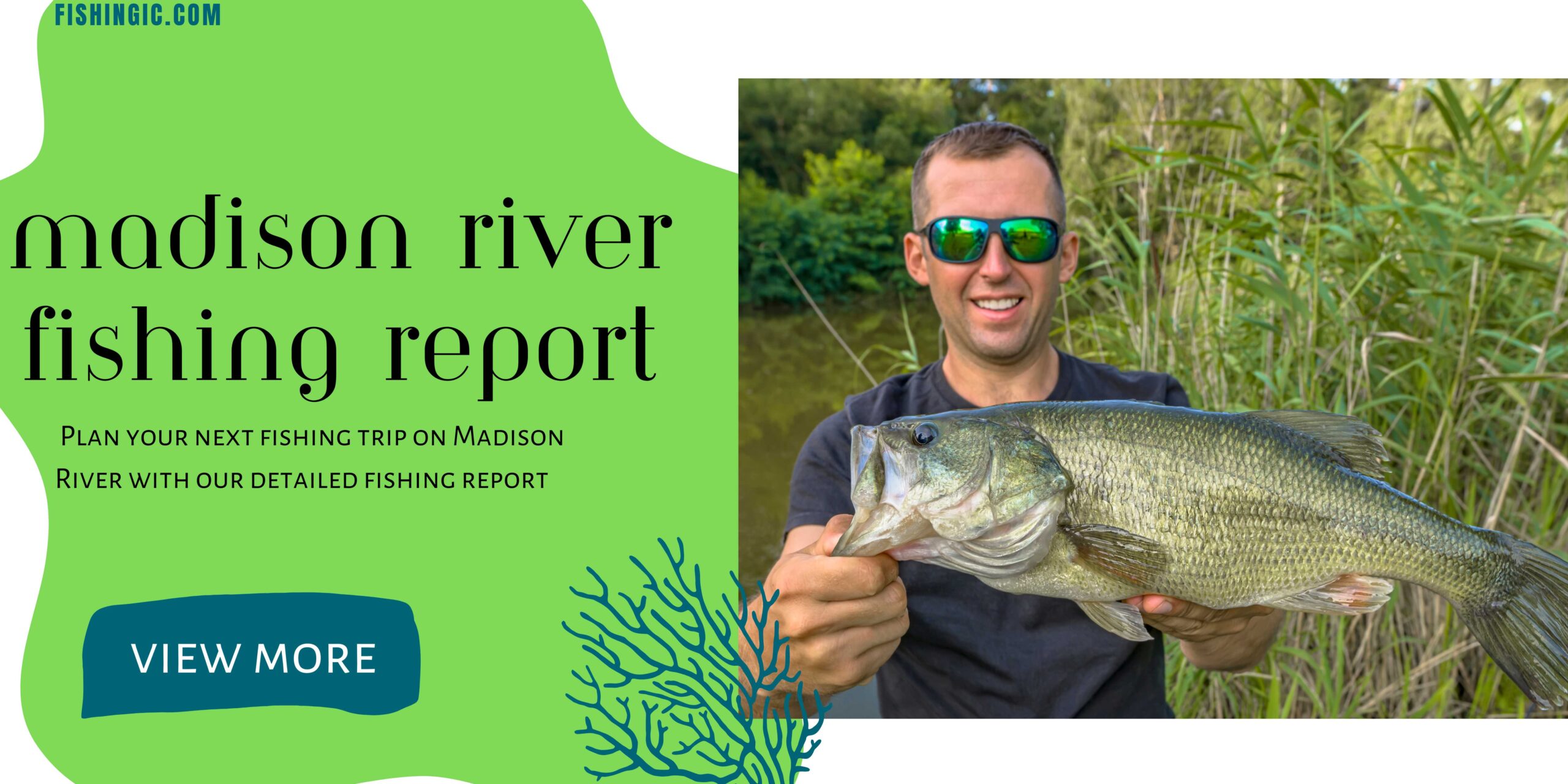 Madison River Fly Fishing Reports