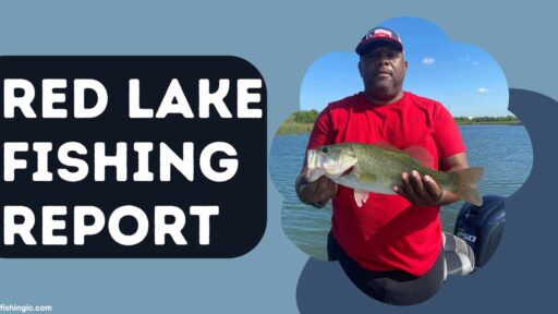 Red Lake Fishing Report