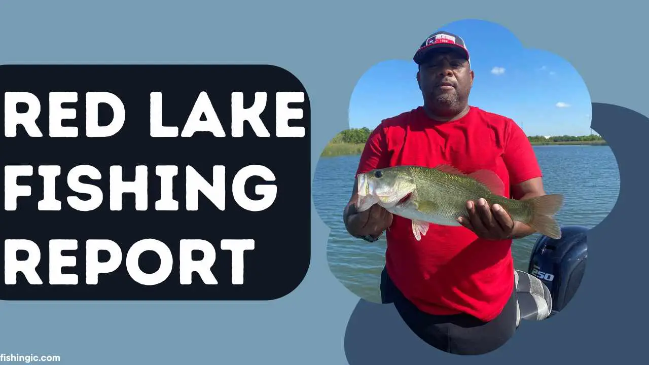 Red Lake Fishing Report: Tips for a Successful Adventure
