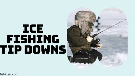 ice fishing tip downs