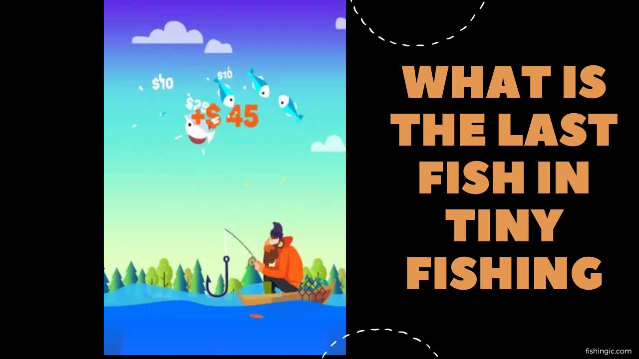 what is the last fish in tiny fishing