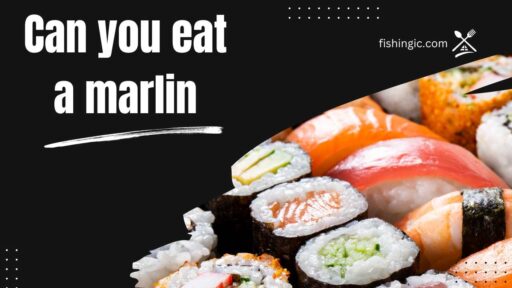 Can you eat a marlin