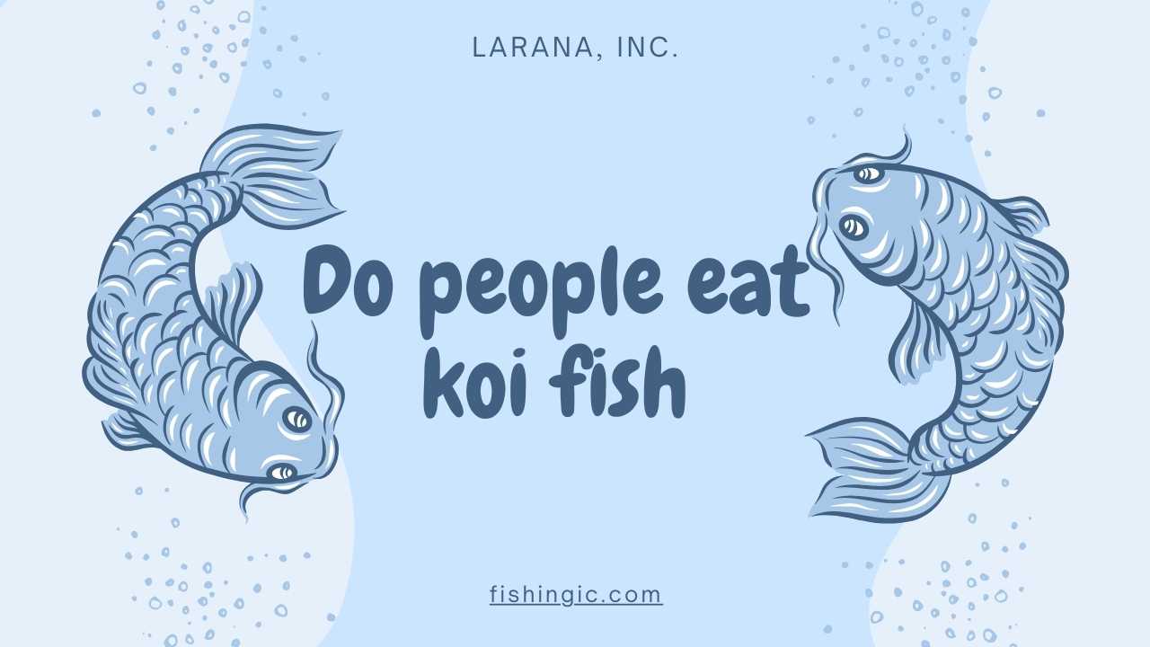 Do people eat koi fish