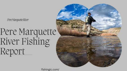 Pere Marquette River Fishing Report