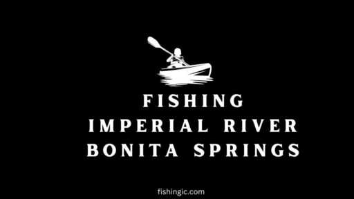 "C:UsersUsDownloadsFishing Imperial River Bonita Springs.jpg"