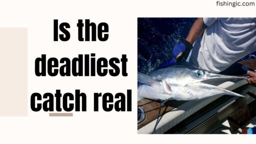 Is the deadliest catch real