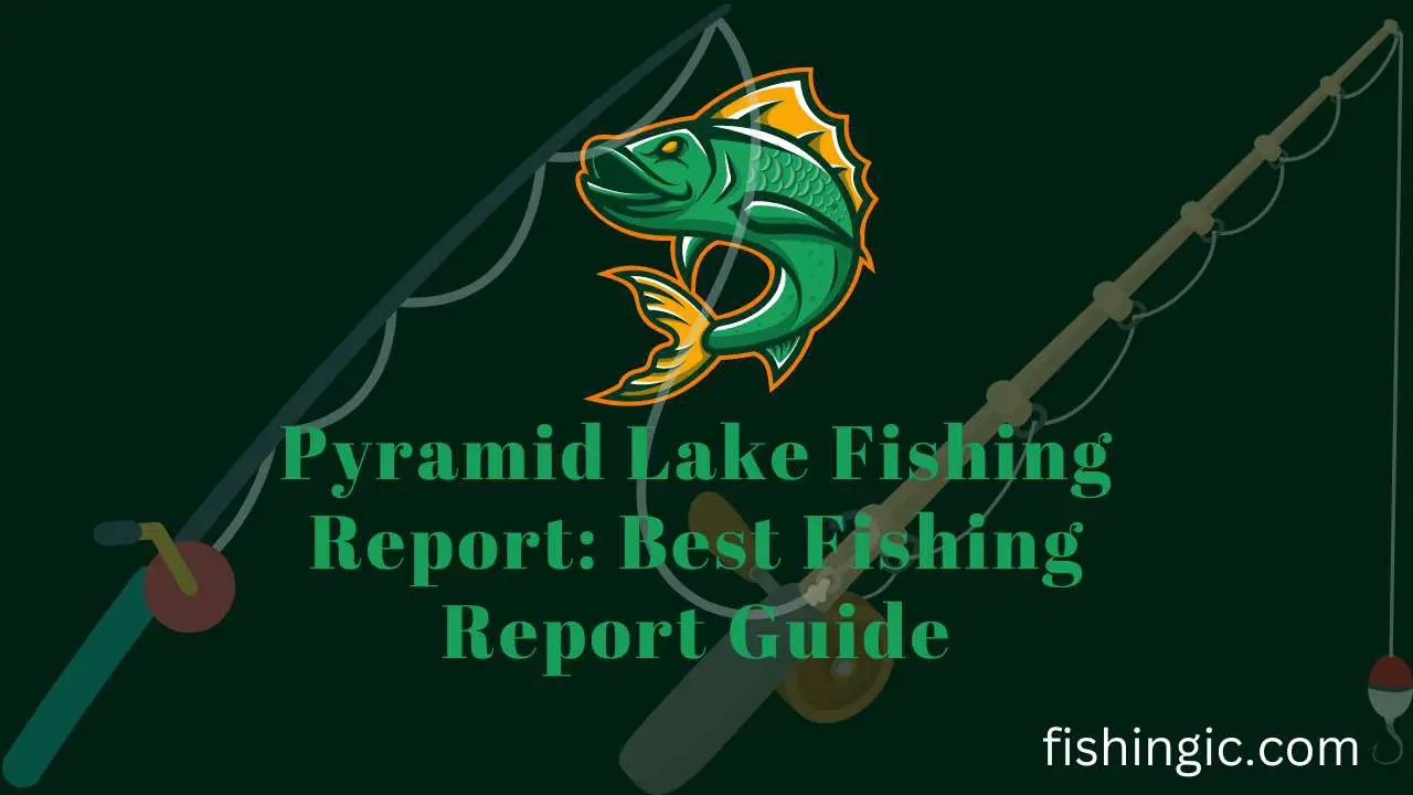 Pyramid Lake Fishing Report Best Fishing Report Guide